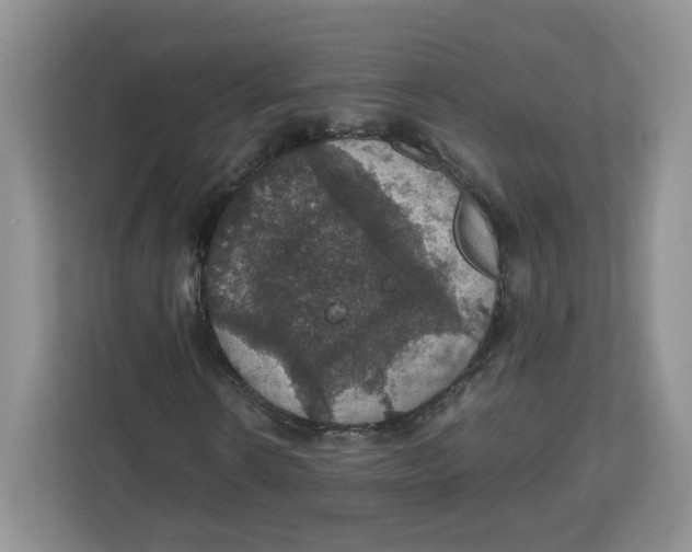 X0000112470914200909141115