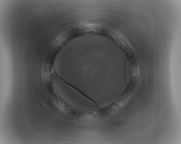 X0000112470916200909141115