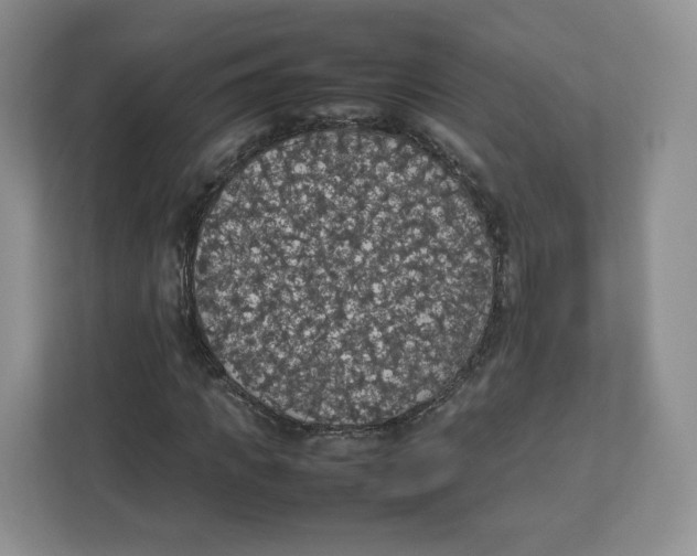 X0000112470917200909141115