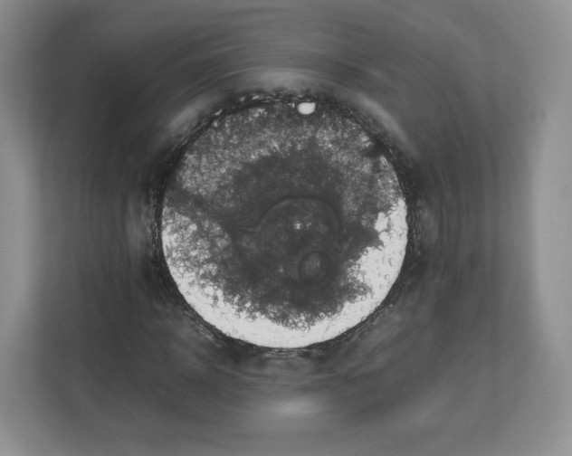 X0000112470918200909141115