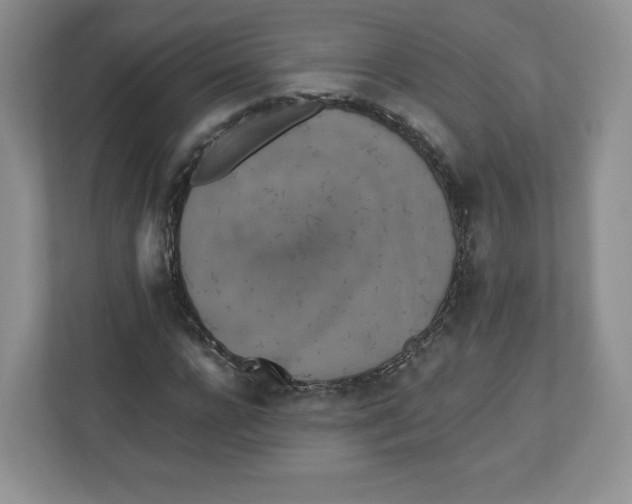 X0000112470920200909141115
