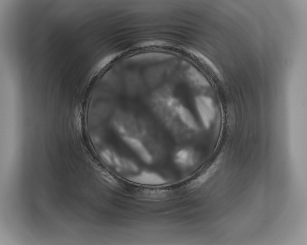 X0000112470921200909141115