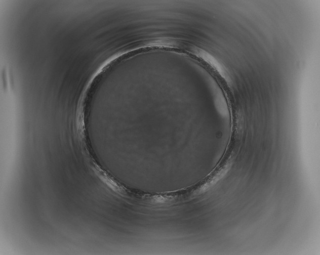 X0000112470923200909141115