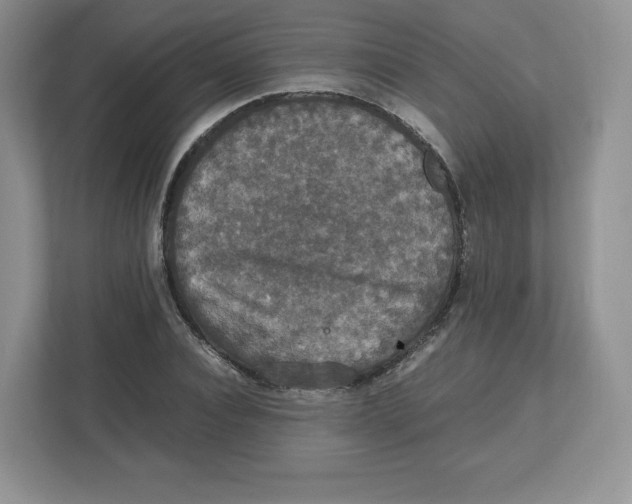 X0000112470928200909141115