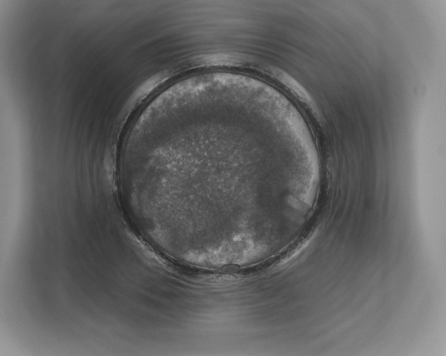 X0000112470930200909141115