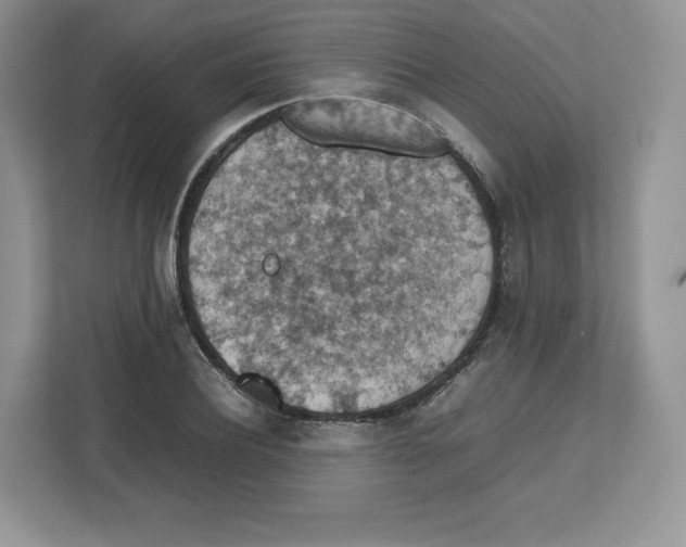 X0000112470932200909141115