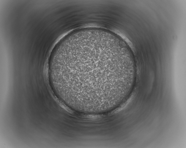 X0000112470933200909141115