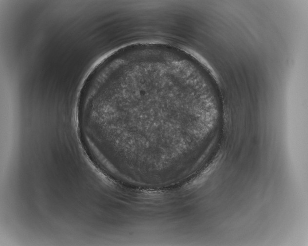 X0000112470935200909141115