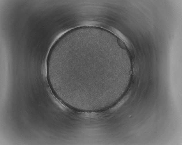 X0000112470940200909141115