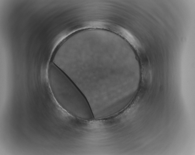 X0000112470944200909141115