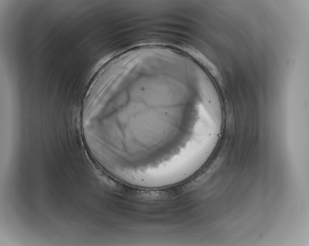 X0000112470945200909141115