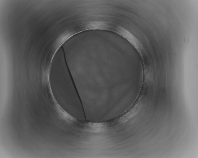 X0000112470946200909141115