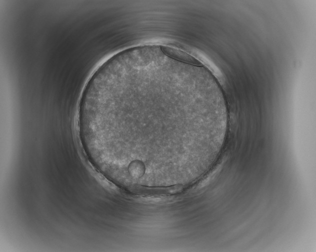 X0000112470948200909141115