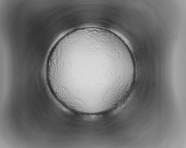 X0000112470949200909141115