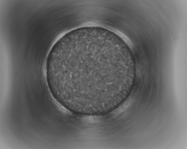 X0000112470950200909141116