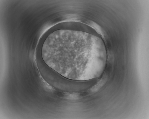 X0000112470952200909141116