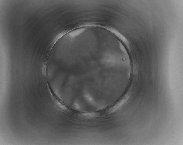 X0000112470953200909141116