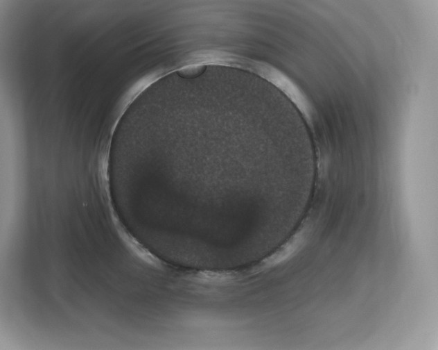 X0000112470954200909141116