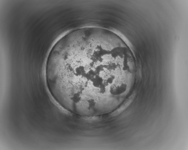 X0000112470957200909141116