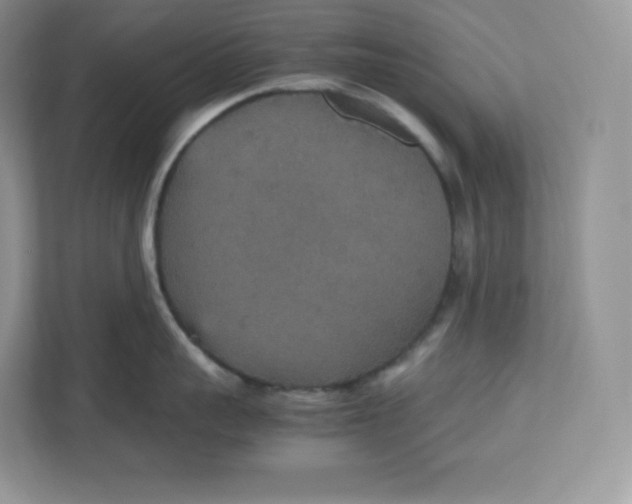 X0000112470959200909141116