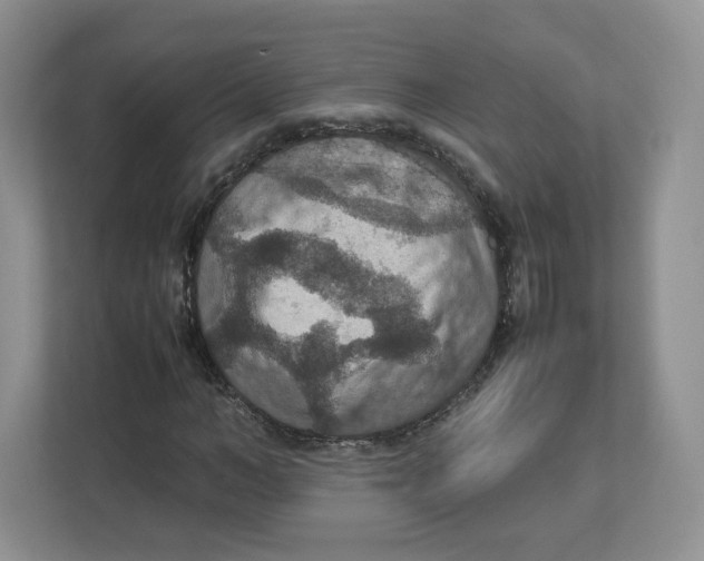 X0000112470966200909141115