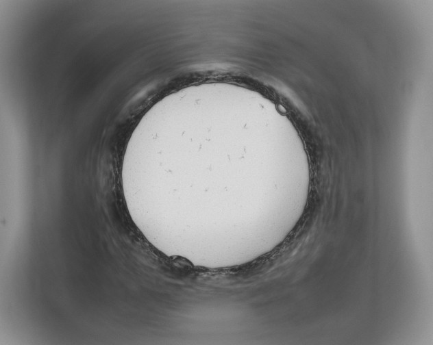 X0000112470967200909141115