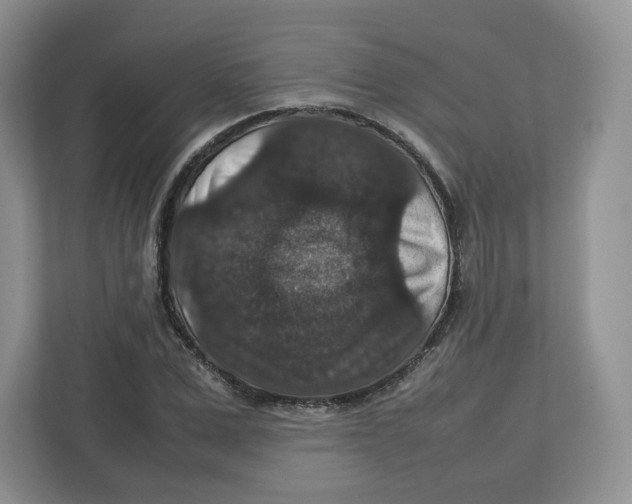 X0000112470975200909141115