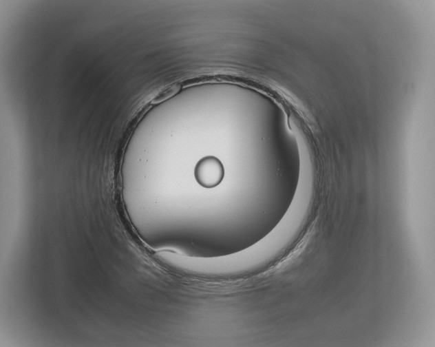 X0000112470977200909141115