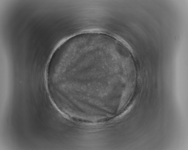 X0000112470989200909141115