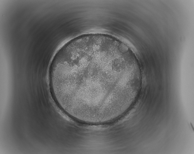 X0000112470990200909141115