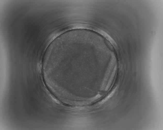 X0000112470993200909141115