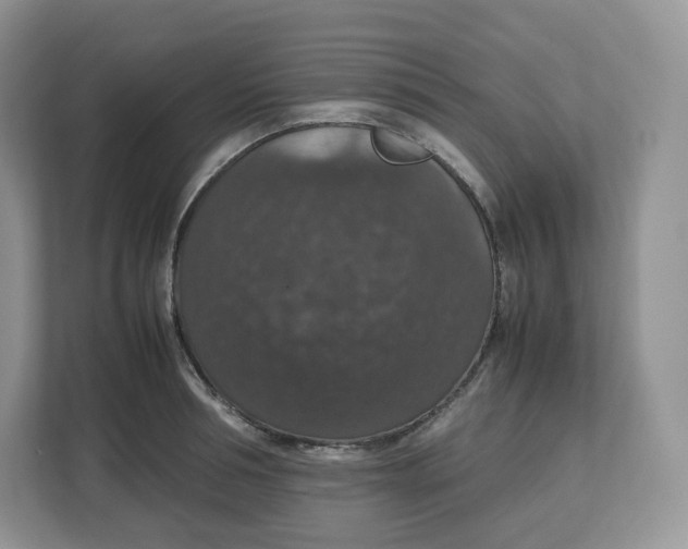 X0000112470994200909141115