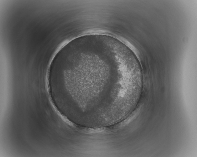 X0000112470997200909141115
