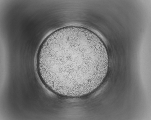 X0000112470999200909141115