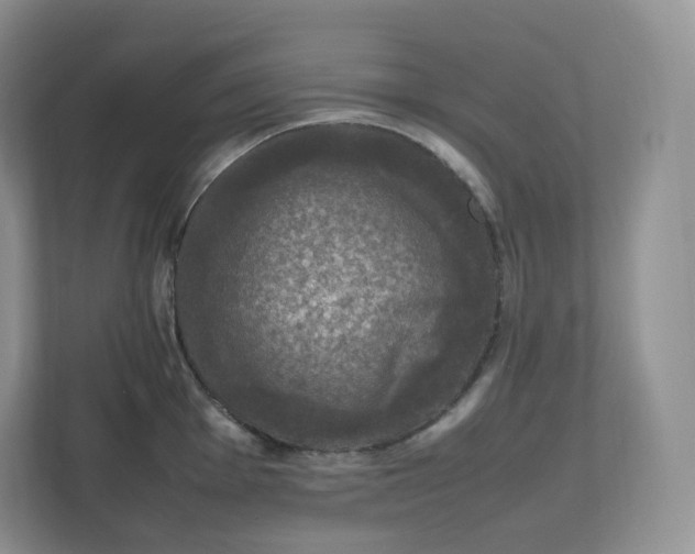 X0000112471001200909141114