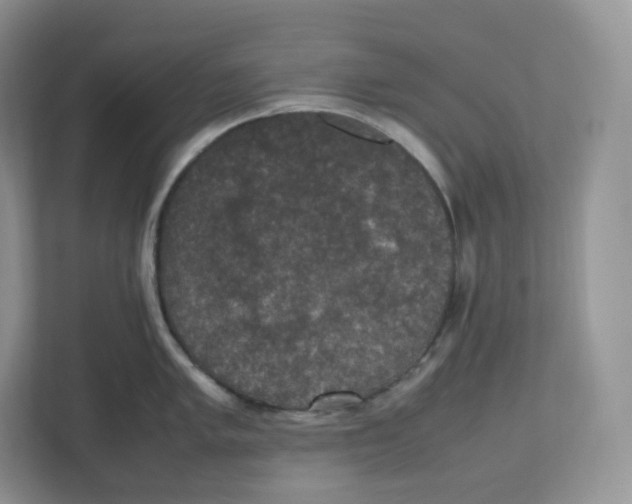 X0000112471005200909141114
