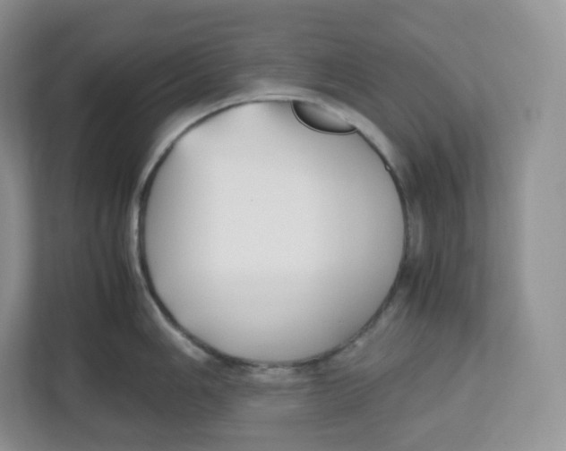 X0000112471006200909141114