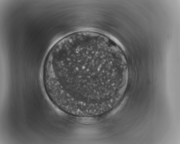 X0000112471007200909141114