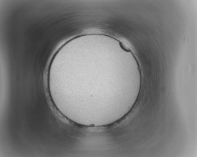X0000112471008200909141114