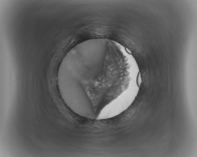 X0000112471009200909141114