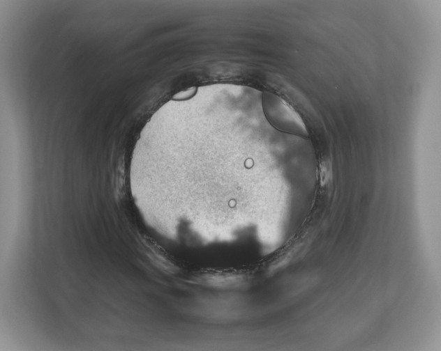 X0000112471011200909141114
