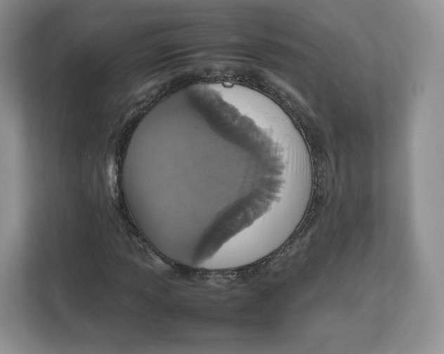 X0000112471013200909141114