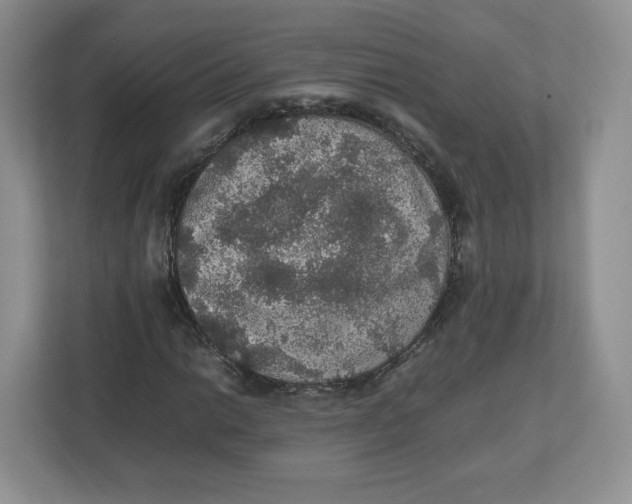 X0000112471014200909141114