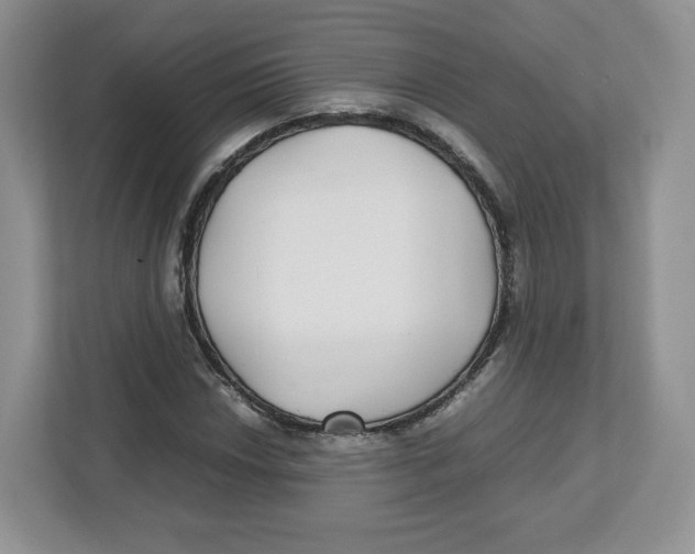 X0000112471018200909141114