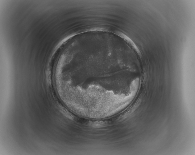 X0000112471019200909141114