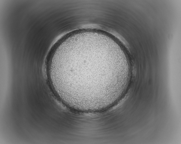 X0000112471022200909141114