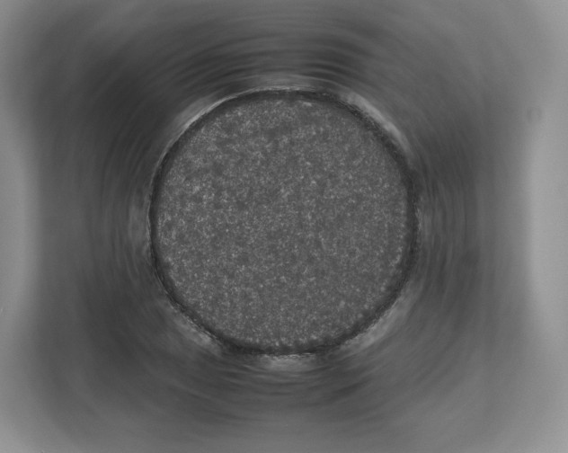 X0000112471025200909141114