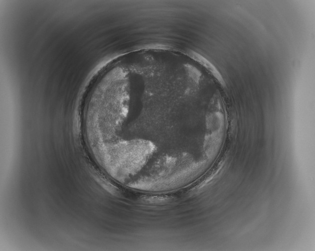 X0000112471027200909141114