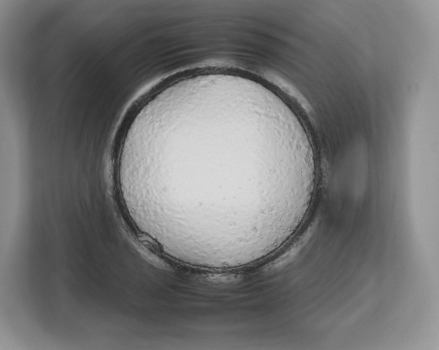 X0000112471029200909141114