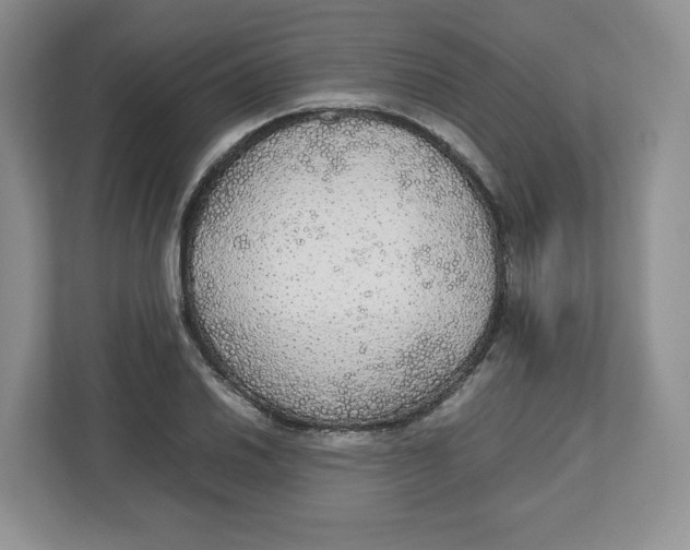X0000112471030200909141114